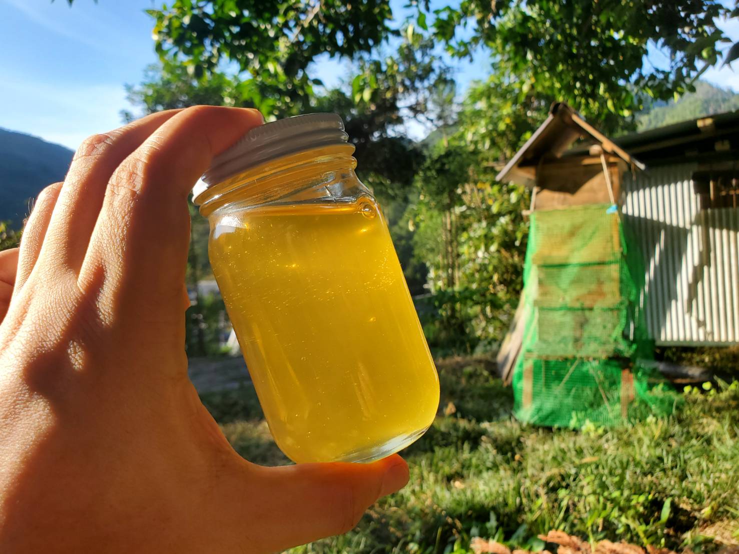 京都府産百花蜜