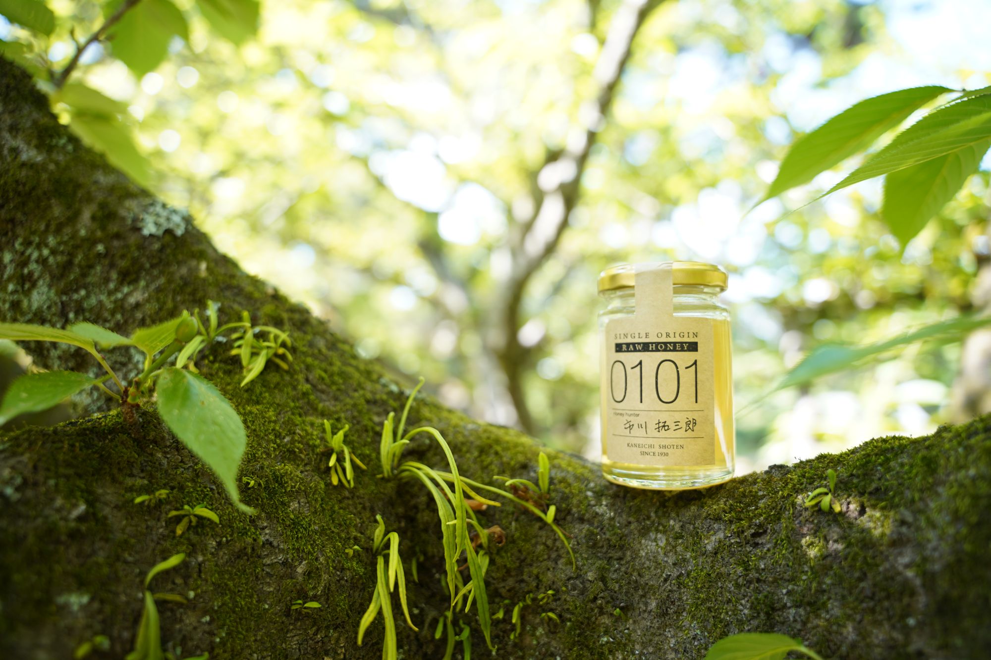 採れたての生はちみつ