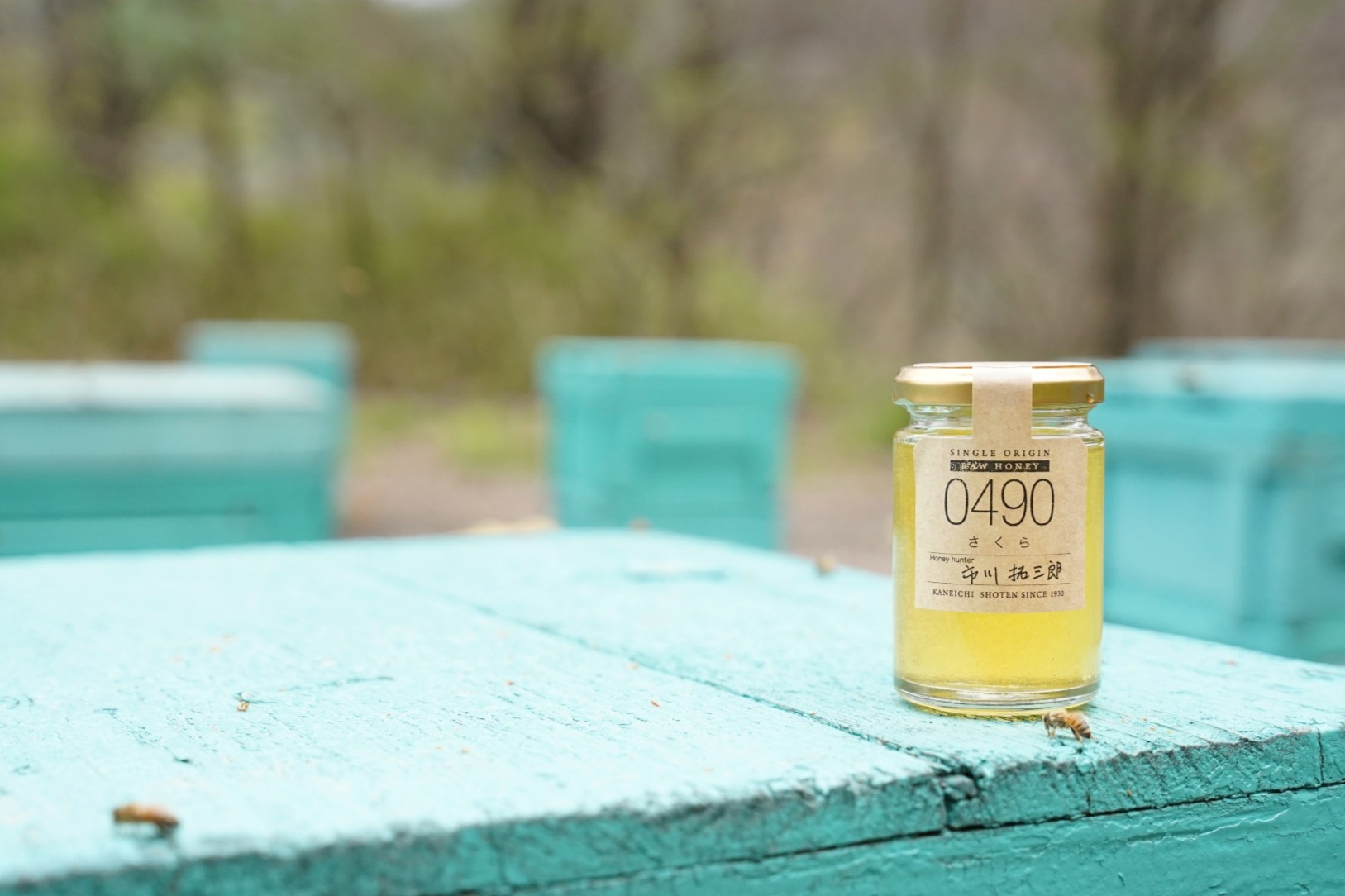 採れたての新蜜つ