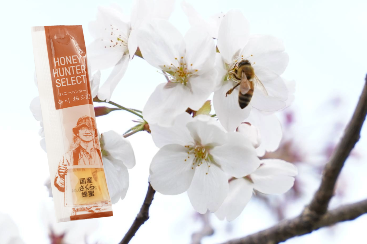 さくら蜂蜜