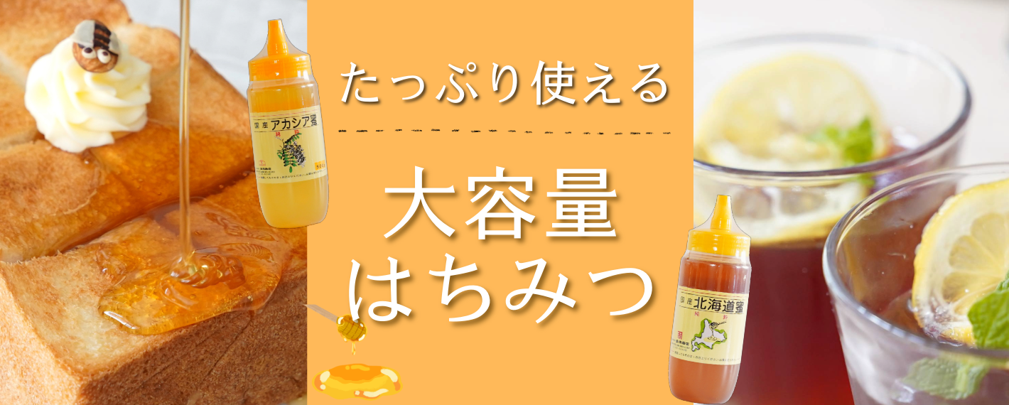 2025年採蜜】はぜ蜂蜜（和歌山県みなべ町産）シングルオリジンハニー