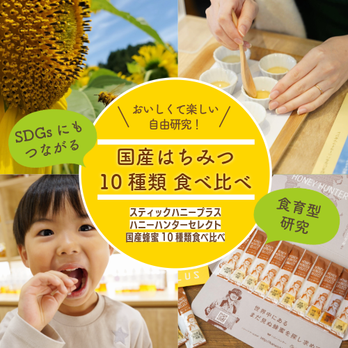 自由研究　スティックHH10　500px.png