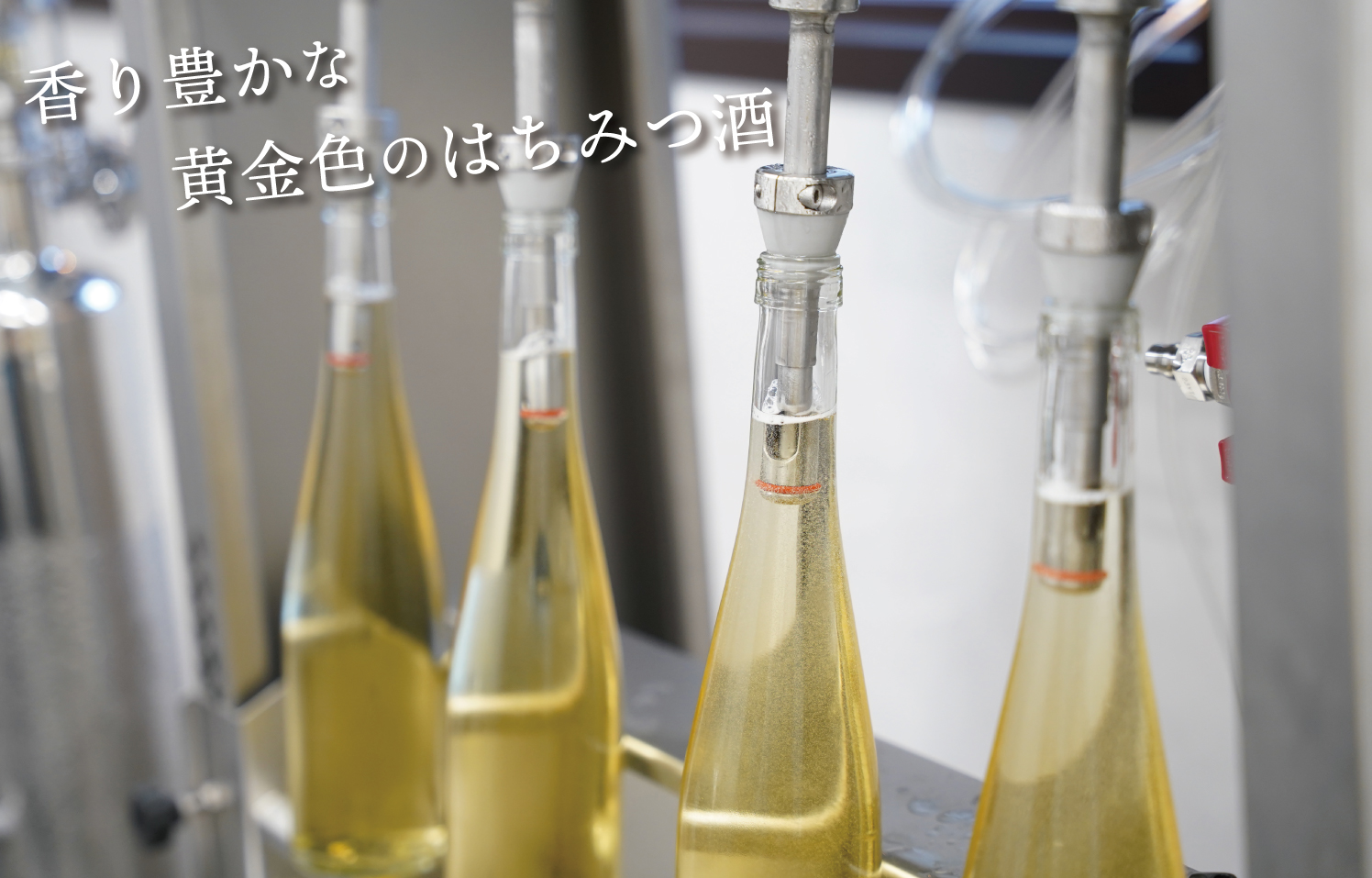 醸造所　瓶詰め