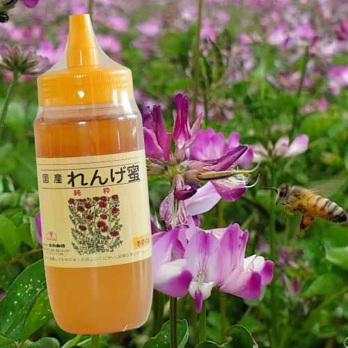 国産れんげ蜂蜜500g | 【公式】蜂蜜専門店ミールミィ｜通販｜はちみつ