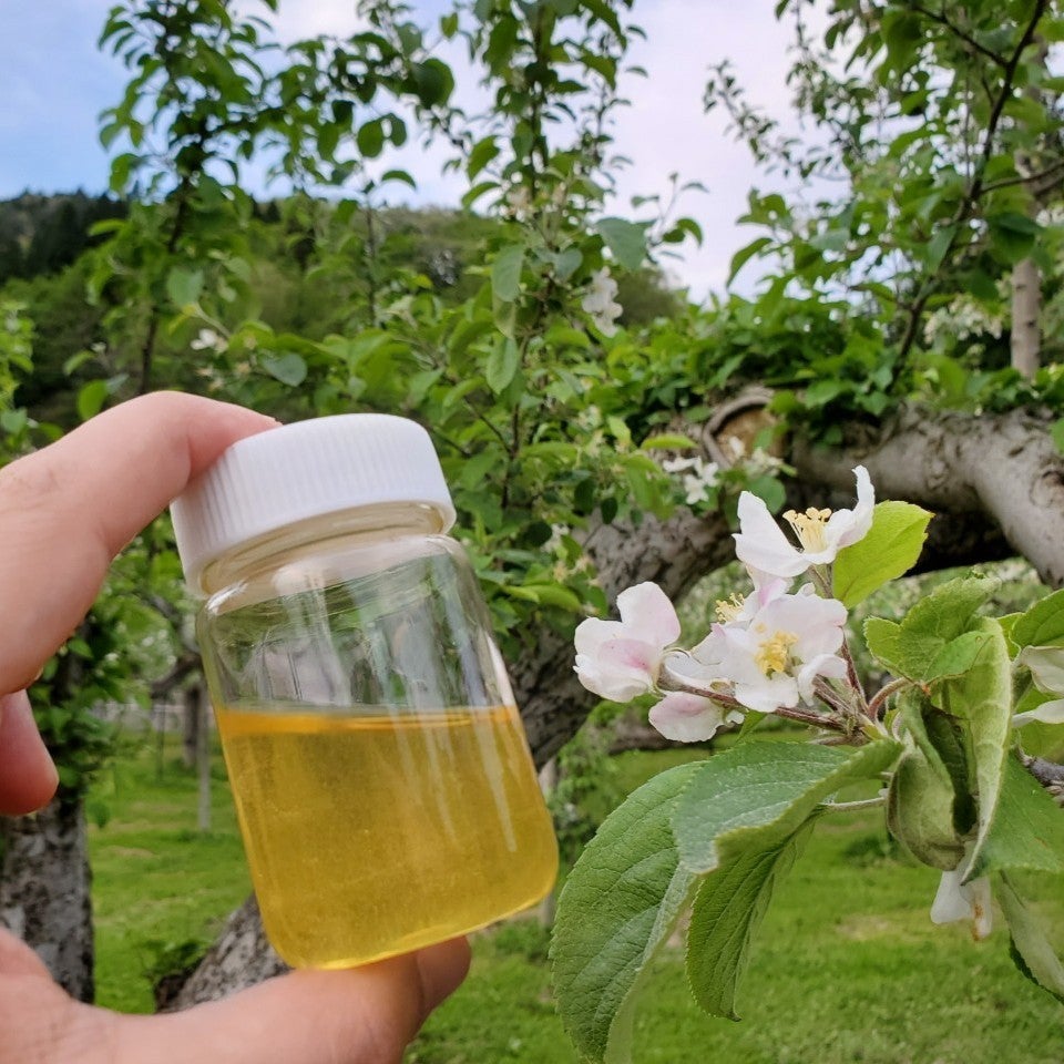2026年新蜜】りんご蜂蜜｜450g｜国産｜大容量 | 【公式】蜂蜜専門店